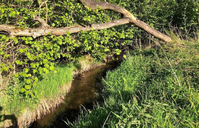 Cozy Holiday Home in Haderslev near Ocean - Foto 6