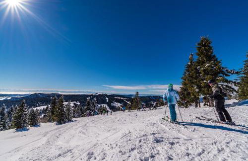 Ferienwohnung Seeblick Nr 4 2-Zimmer, Bärental, Feldberg - Foto 12