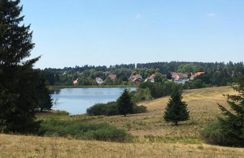 Harz Apartment 'Storchennest' mit Seeblick - Bubo am See - Photo 28
