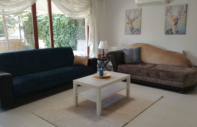 Orange Garden - Foto 21