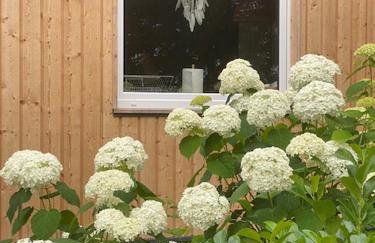 Domki Zalesie - Foto 10