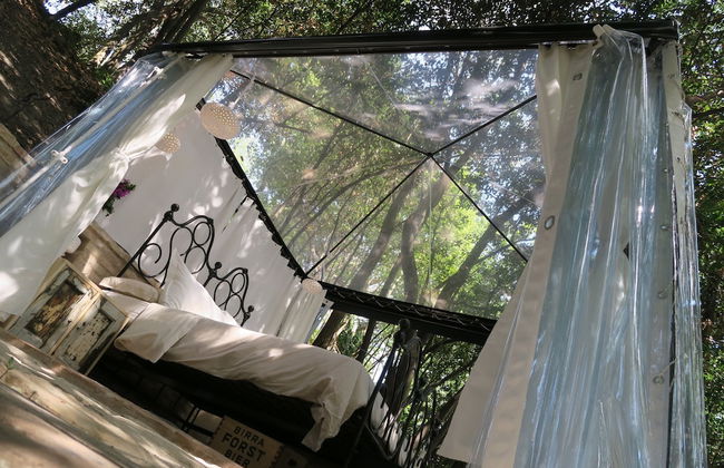 Castello di Granarola Relais – Adults Friendly - Foto 17