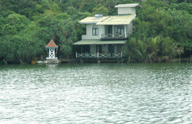 Escursione privata a Balapitiya + Allevamento di tartarughe di Kosgoda - Foto 1