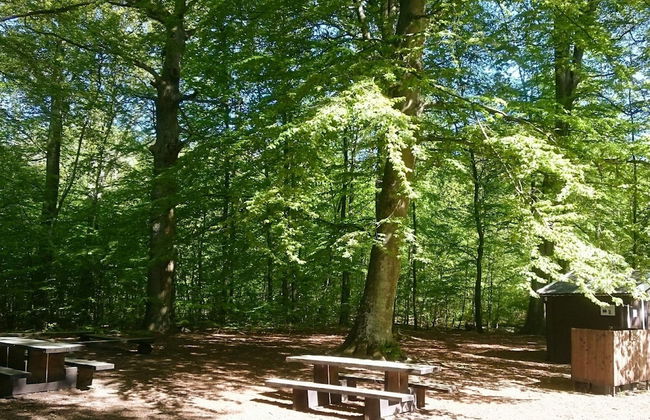 4 Person Holiday Home in Everod-by Traum - Foto 26