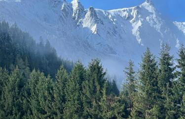 Large peaceful chalet for mountain adventures! Perfect for Flégère and Grand Montet skiing - Foto 37