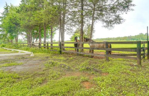Historic 30 Acre Retreat - Get Back to Nature - Foto 31