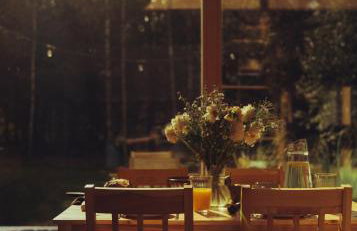 Miło las widzieć - Foto 50