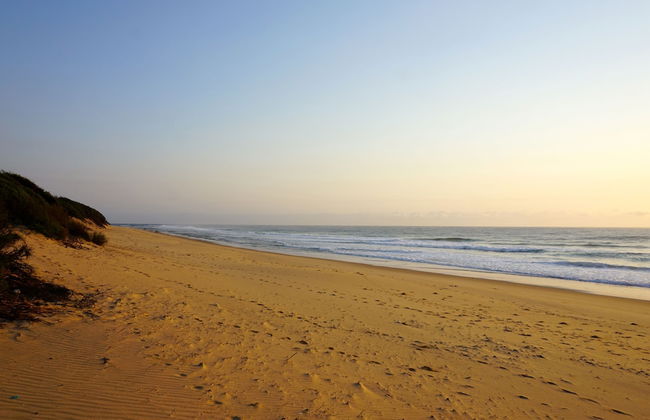 Beach Villa Tofinho - Photo 32