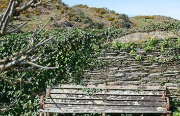 Old Vicarage Mortehoe Near Woolacombe 2 x sleeps 4 and 1 x sleeps 10 cottages - Foto 5