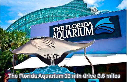 Palmera House in Tampa with Hot Tub 10 minutes from Airport & Busch Gardens - Foto 26