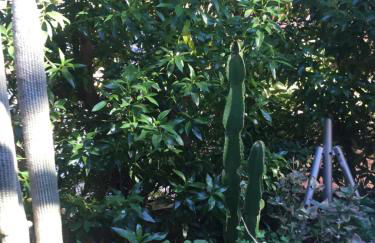 PuntBlanc Residences - Foto 79