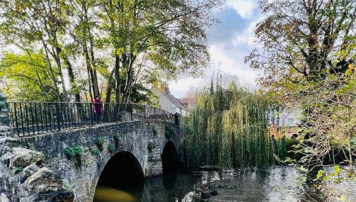 Dapps Hill Haven - between Bristol and Bath, both 9 mins by train! - Foto 3