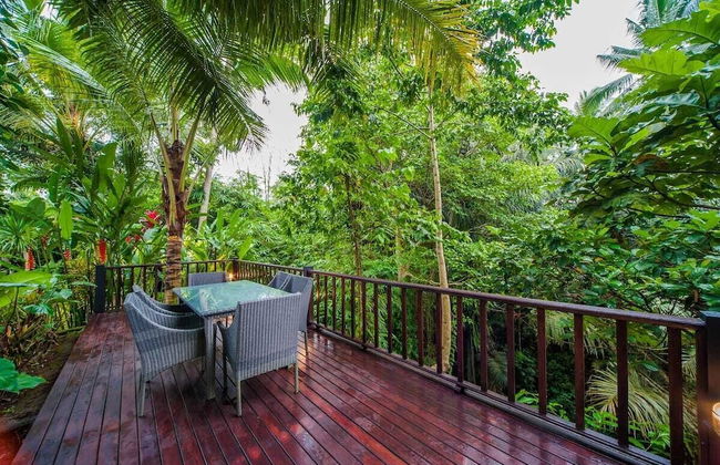 Infinity Jungle View Aashaya Villa Ubud - Photo 37