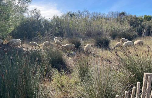 Relaxation AquatiqueGarantie100% - Foto 76