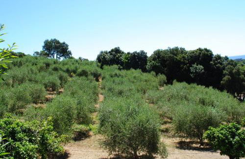 Holiday Home Maison Gerard by Interhome - Foto 44