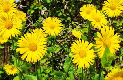 DUPLEX 2 en 1 - Proche de Disneyland Paris - Foto 40