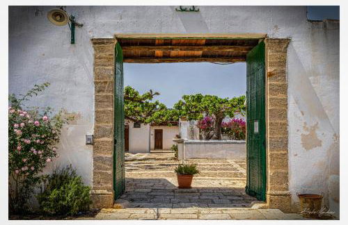 Fattoria Manostalla Villa Chiarelli - Foto 3