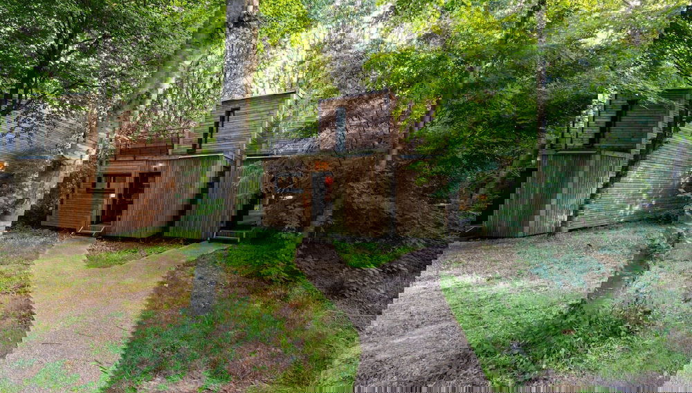 Belvilla Scenic Forest Retreat - Foto 1, Profilbild