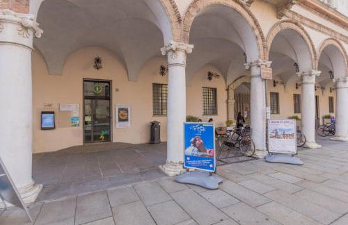 Crema centro, Luminoso, Comfort - Foto 30