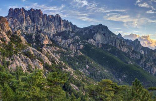 Appartement rénové tout confort 10mn de Campomoro - Foto 19