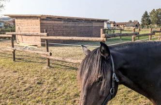 Apartment Tenuta Beatrice by Interhome - Foto 37