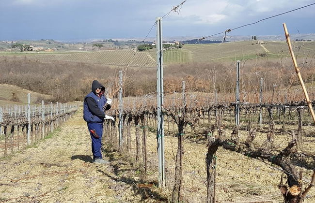 Agriturismo Podere Casa al Vento - Photo 43