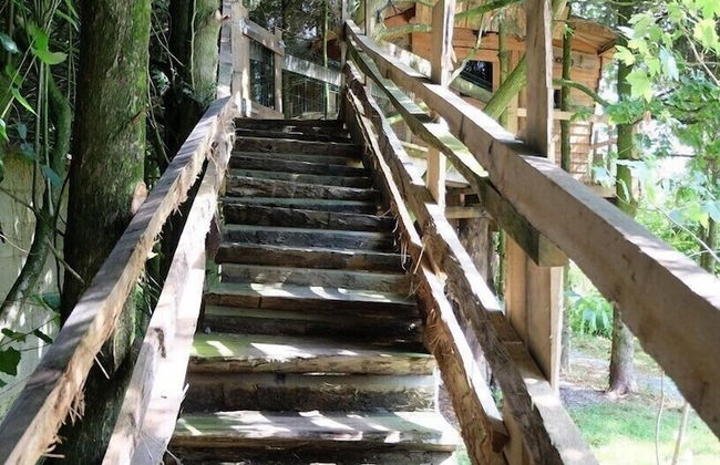 Cabane dans les Arbres - Tree House - Foto 21