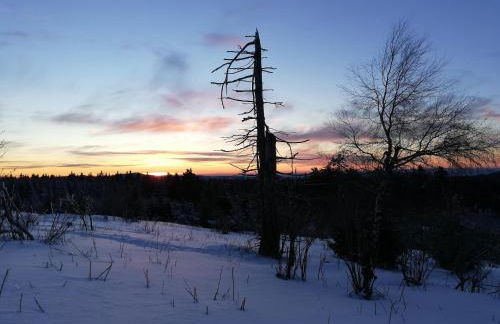 Ferienwohnung Zum Kirschhof - Photo 19