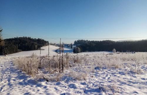 Ferienhaus Waldblick - Foto 51