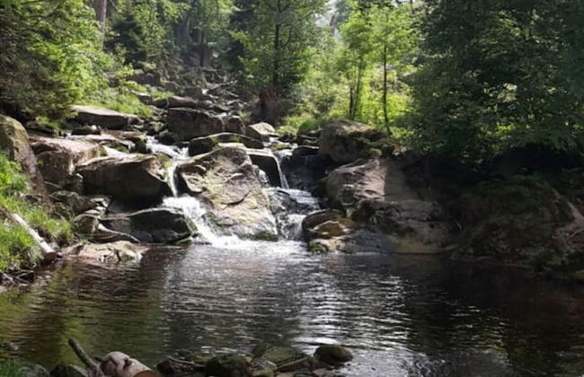 Holiday Apartment Haus Bodefurt - Apartment 2 - Foto 25