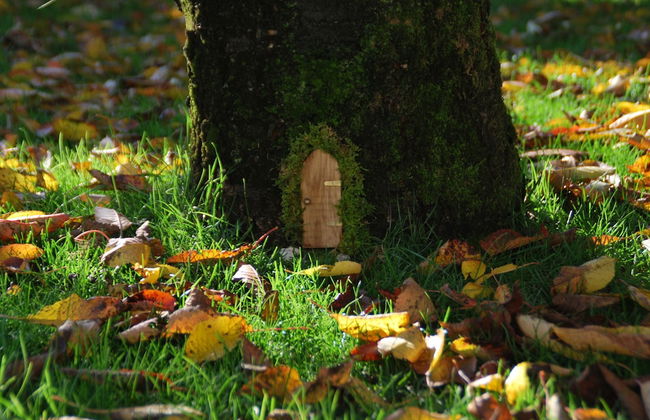 Affittacamere Valnascosta - Foto 61