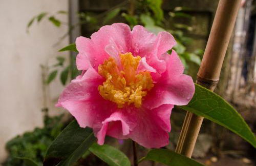 Porto.arte downtown apartment - Foto 19