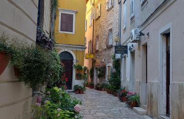 App OLIVE Old Town - Foto 15
