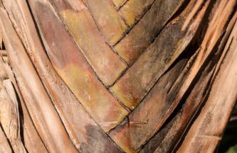 Øko Villa - Foto 15