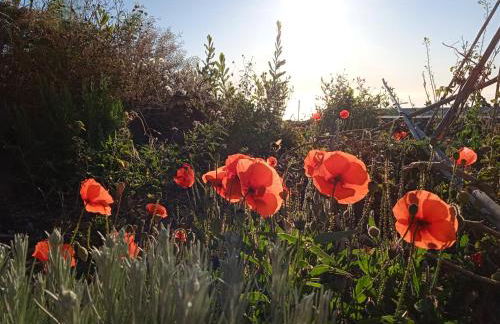 Casa Ben Abora - Foto 4