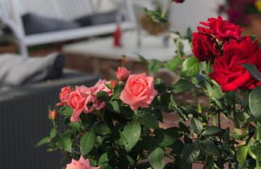 Luxury Sea Home&Terrace - Photo 10