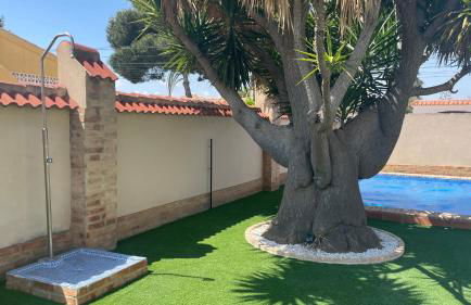 Sunny Florida - Foto 16