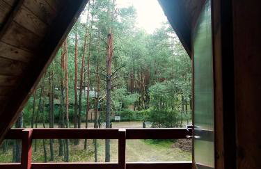 Leśna Chatka - Foto 24