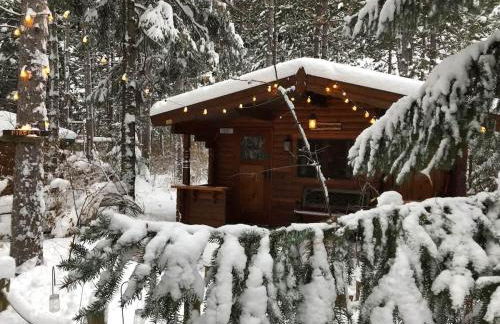 Fancy Fireflies Cabin - Foto 24