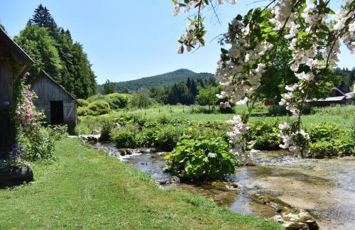 Plitvice Panta Rei - Foto 11