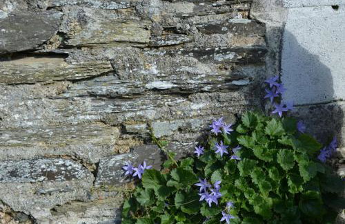 White Hart Cottage, Menheniot, Nr Looe - Foto 29