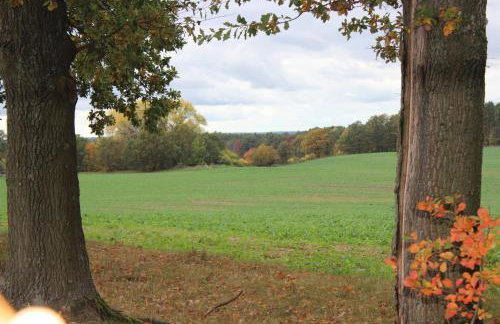 Gospodarstwo Agroturystyczne Agroletnica - Foto 103