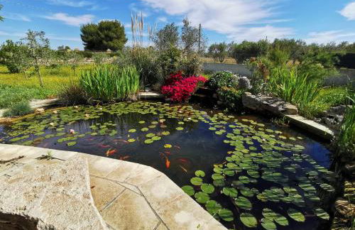 Villa Martina nel Salento - Foto 7