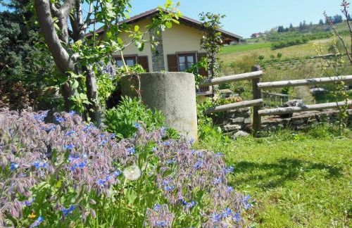 Agriturismo Affittacamere Barbarossa - Foto 31