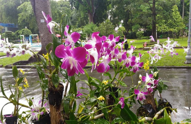 Riverside Serviced Apartments - Foto 45