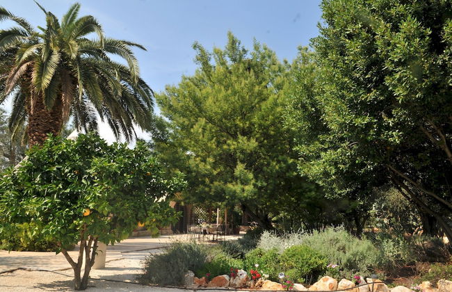 Trulli Mimosa by Pugliadamare - Foto 6