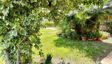 Jennas-Green Apartment - Foto 4, Garden