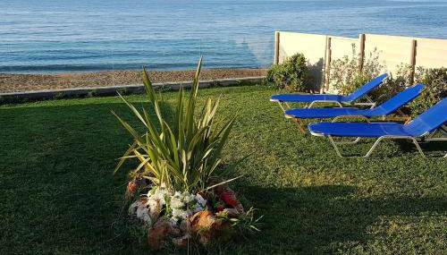 Nautilus house - Foto 3, Garden