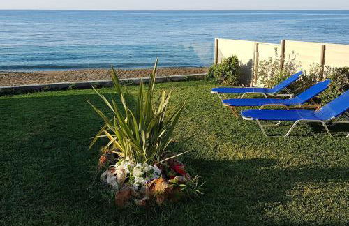 Nautilus house - Foto 3