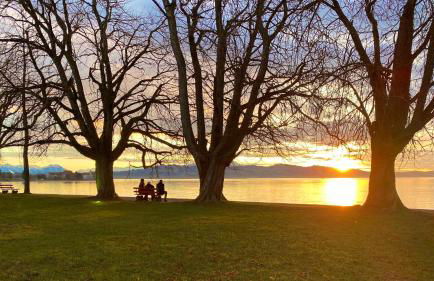 ADORIS APPARTEMENTS im Lotzbeckpark am See "nachhaltiges Wohnen in Lindau" - Foto 33